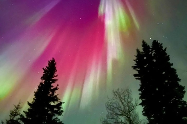 a sunset in the background