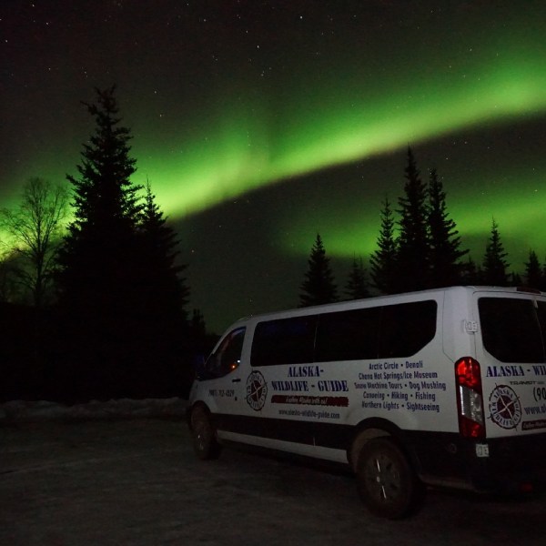 Dark night sky illuminated by northern lights with Alaska Wild Lights tour van below