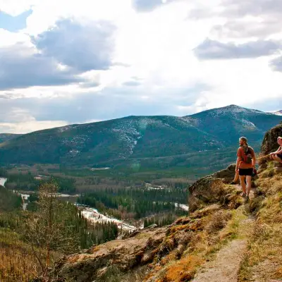 a close up of a hillside next to a mountain