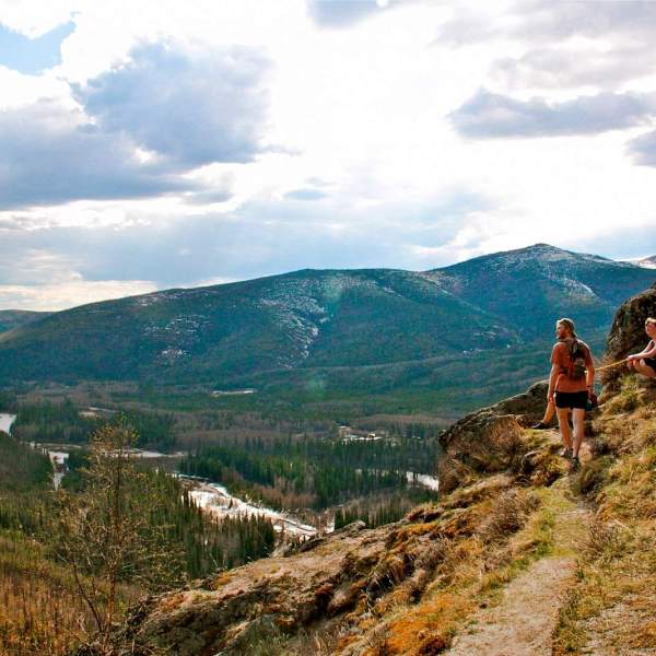 a close up of alasjka wild lights tourist on hillside next to a mountain