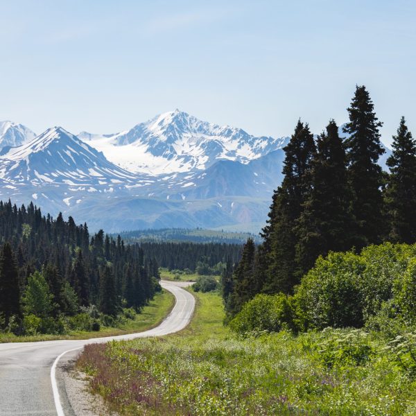 Forest-lined road under clear sky in Alaska