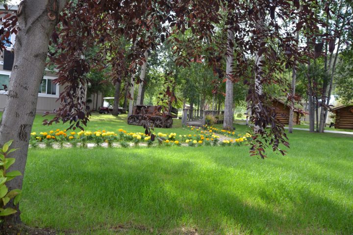 a group of people in a garden
