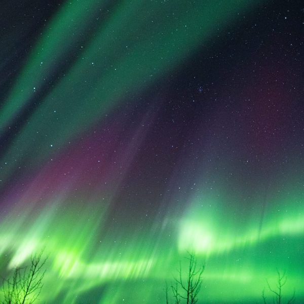 Aurora curtains glowing across starry sky near Fairbanks Alaska