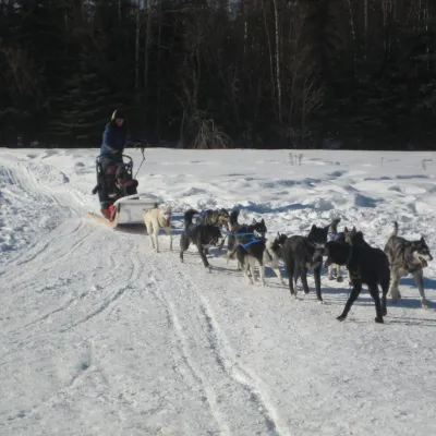 a group of people riding horses in the snow