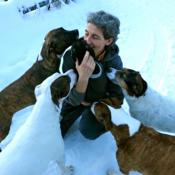 Person playing with dogs in snowy landscape near Fairbanks Alaska