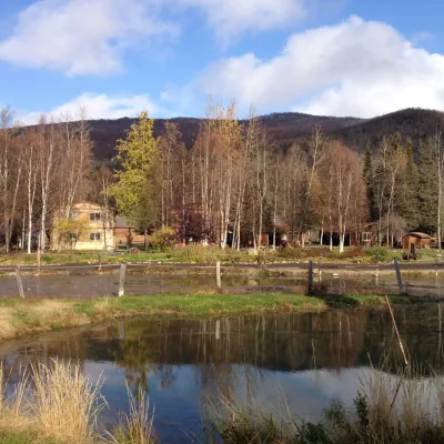 a bridge over a body of water