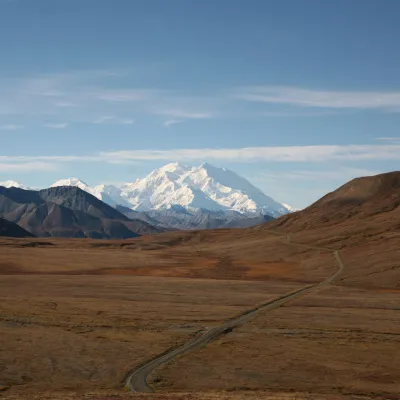 a close up of a desert field with a mountain in the background