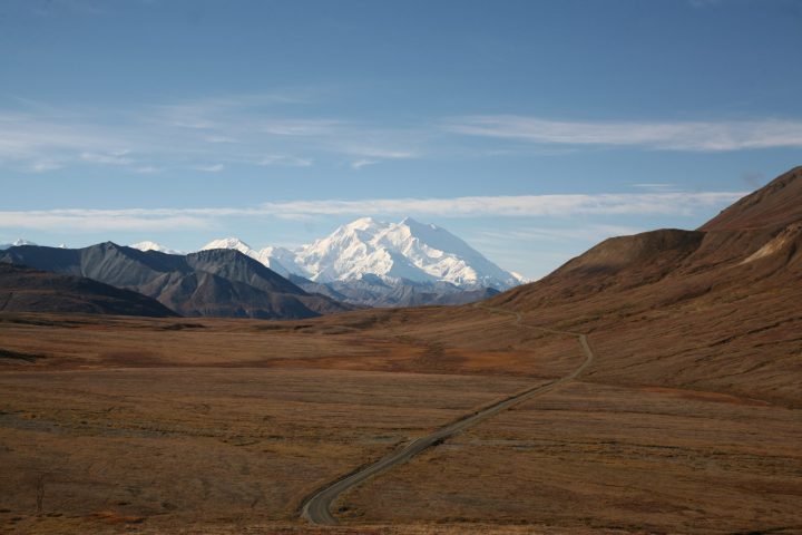 a close up of a desert field with a mountain in the background