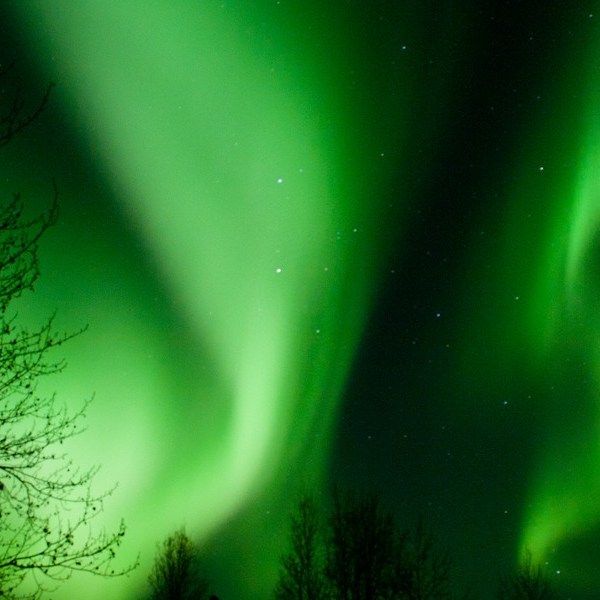 Green northern lights glowing across night sky near Fairbanks Alaska