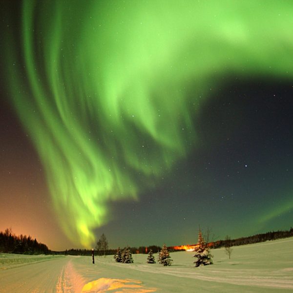 Vibrant green and purple northern lights dancing over snowy landscape near Fairbanks Alaska