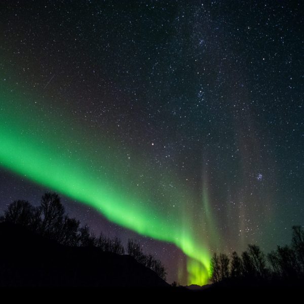 Bright green northern lights dancing across night sky near Fairbanks Alaska