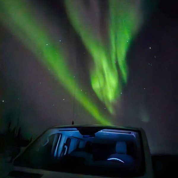 Green northern lights glowing over forest with car parked below