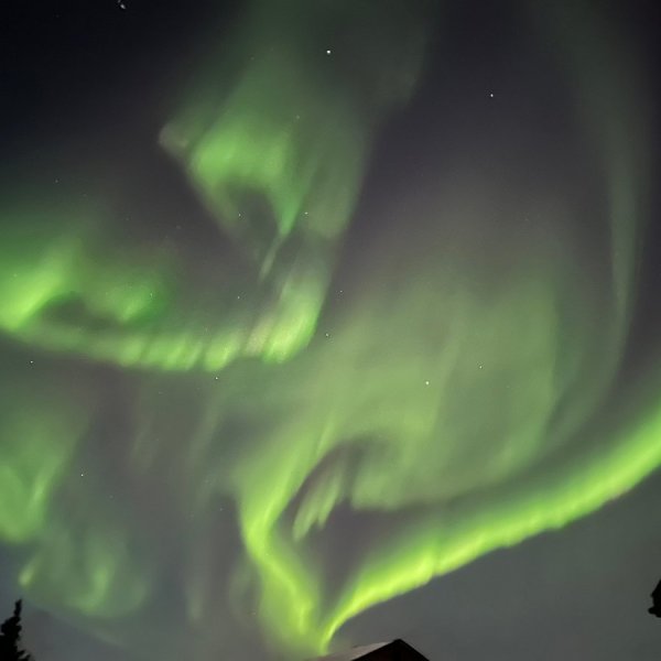 Vibrant aurora borealis arching across night sky above Fairbanks Alaska