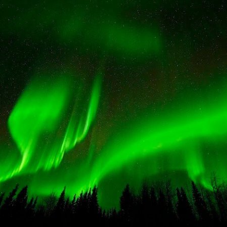 Vibrant aurora curtains cascading across starry night near Fairbanks Alaska