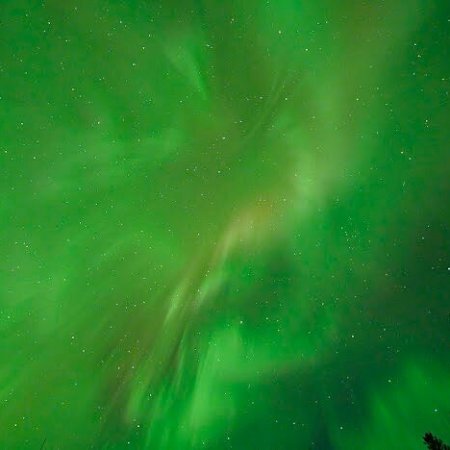 Emerald northern lights streaking across clear night sky in Fairbanks Alaska