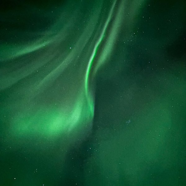 Green northern lights dancing across clear night sky near Fairbanks Alaska