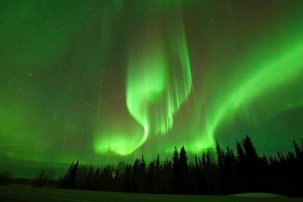 a close up of a green background