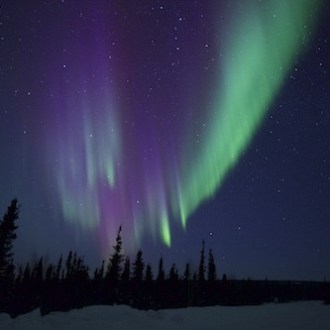 Northern lights glowing over snowy landscape near Fairbanks Alaska