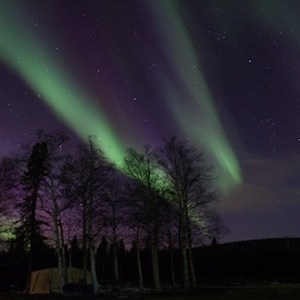 Vibrant green and purple northern lights in Fairbanks Alaska