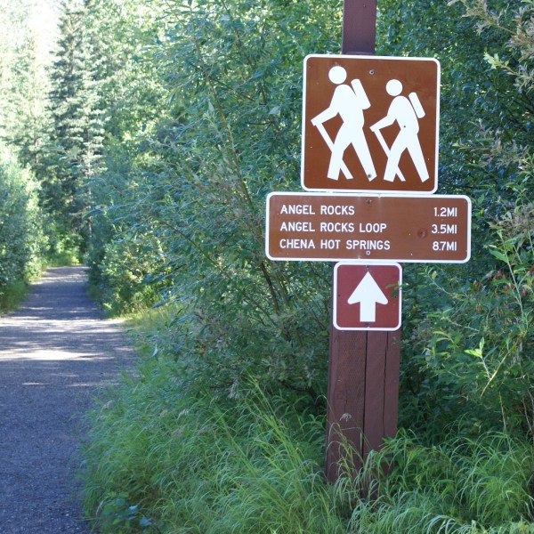 Directional sign mounted on tree in Fairbanks