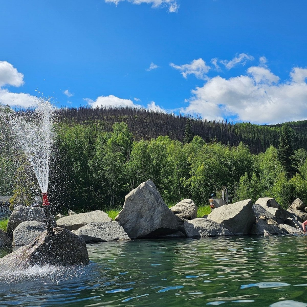 Rocky landscape with freshwater and trees in Fairbanks Alaska