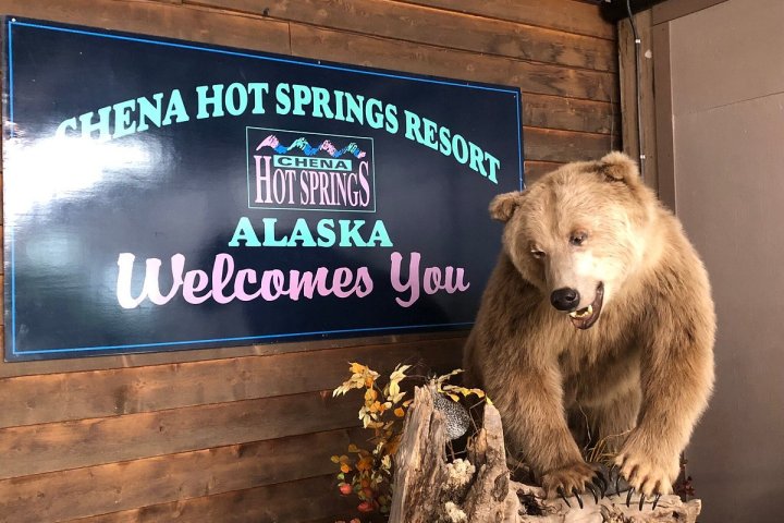 a large brown bear standing in front of a building