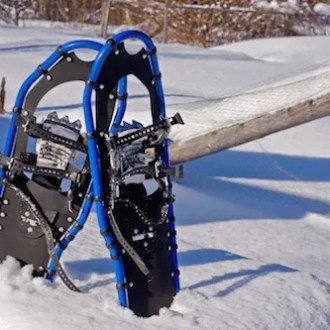 A pair of snowshoes standing upright in the snow on a sunny day.