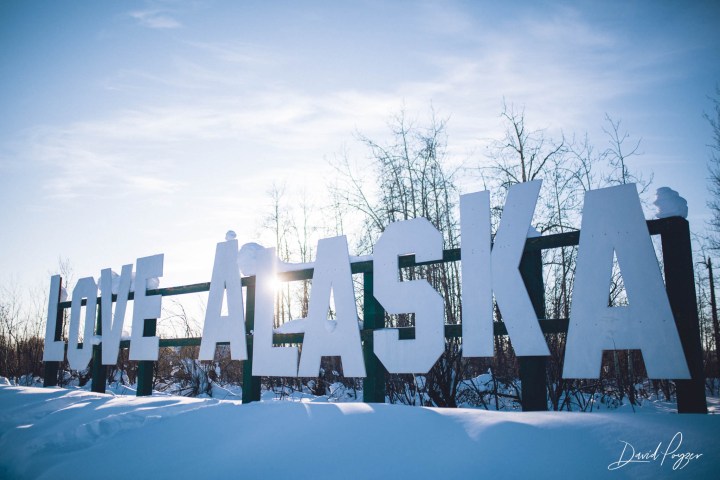 Snow-covered sign reading 'LOVE ALASKA' against a clear blue sky and bare trees.