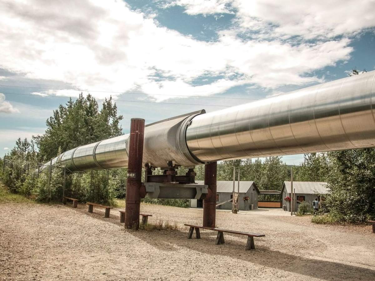 Elevated silver pipeline running above ground with trees and a cloudy sky in the background.