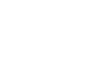Alaska Wild Lights