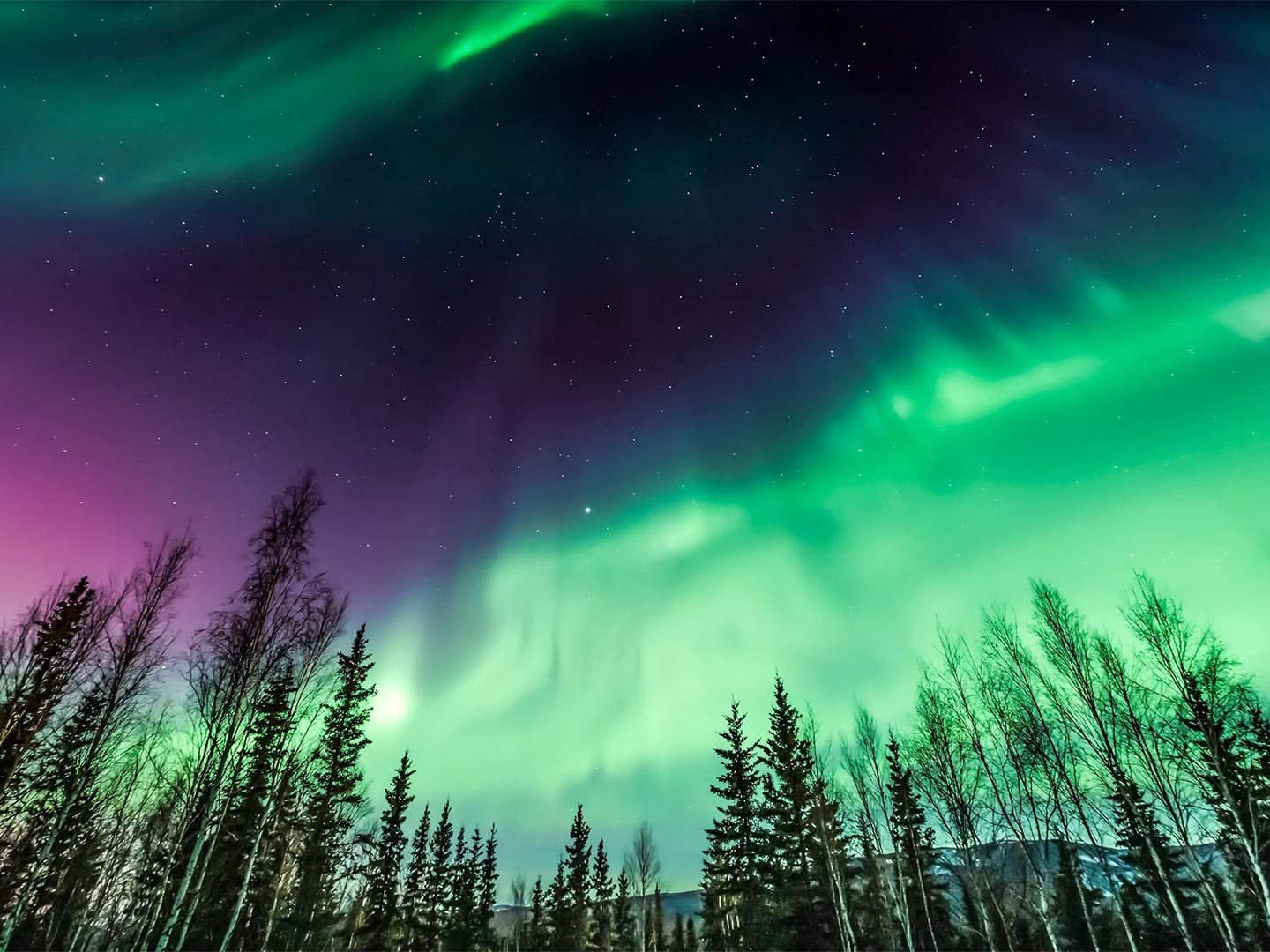 Northern lights over a forest with vibrant green and purple hues in the night sky.