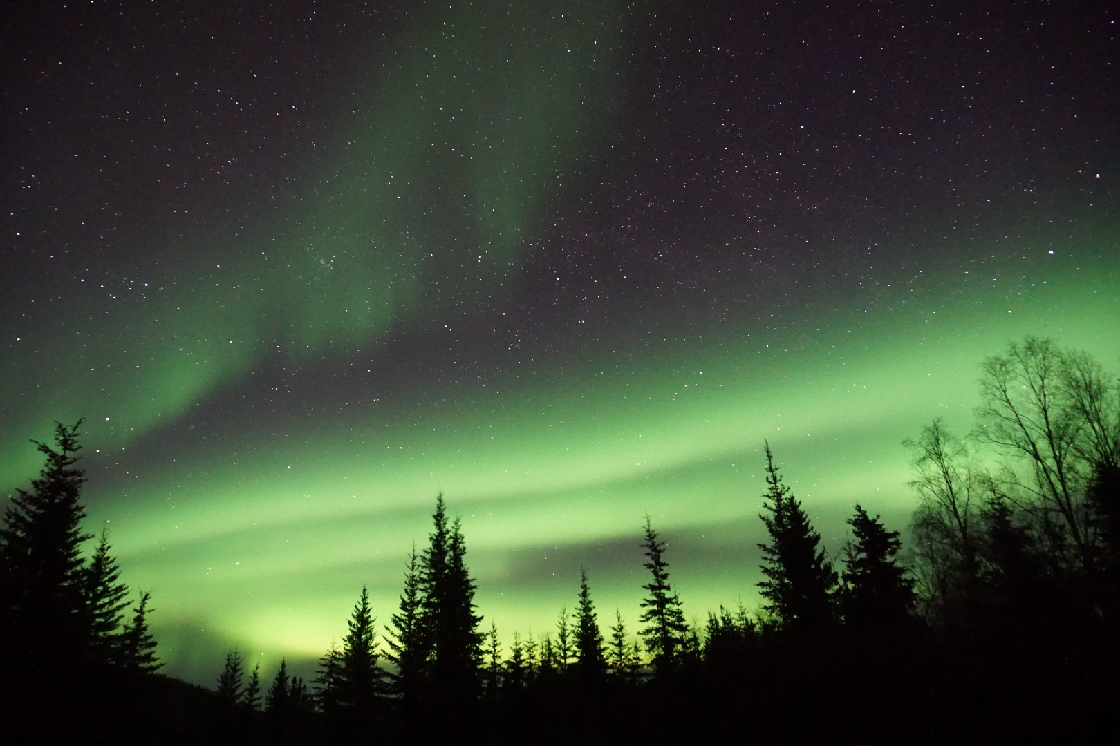 Northern lights over Fairbanks Alaska — things to do in Fairbanks Alaska
