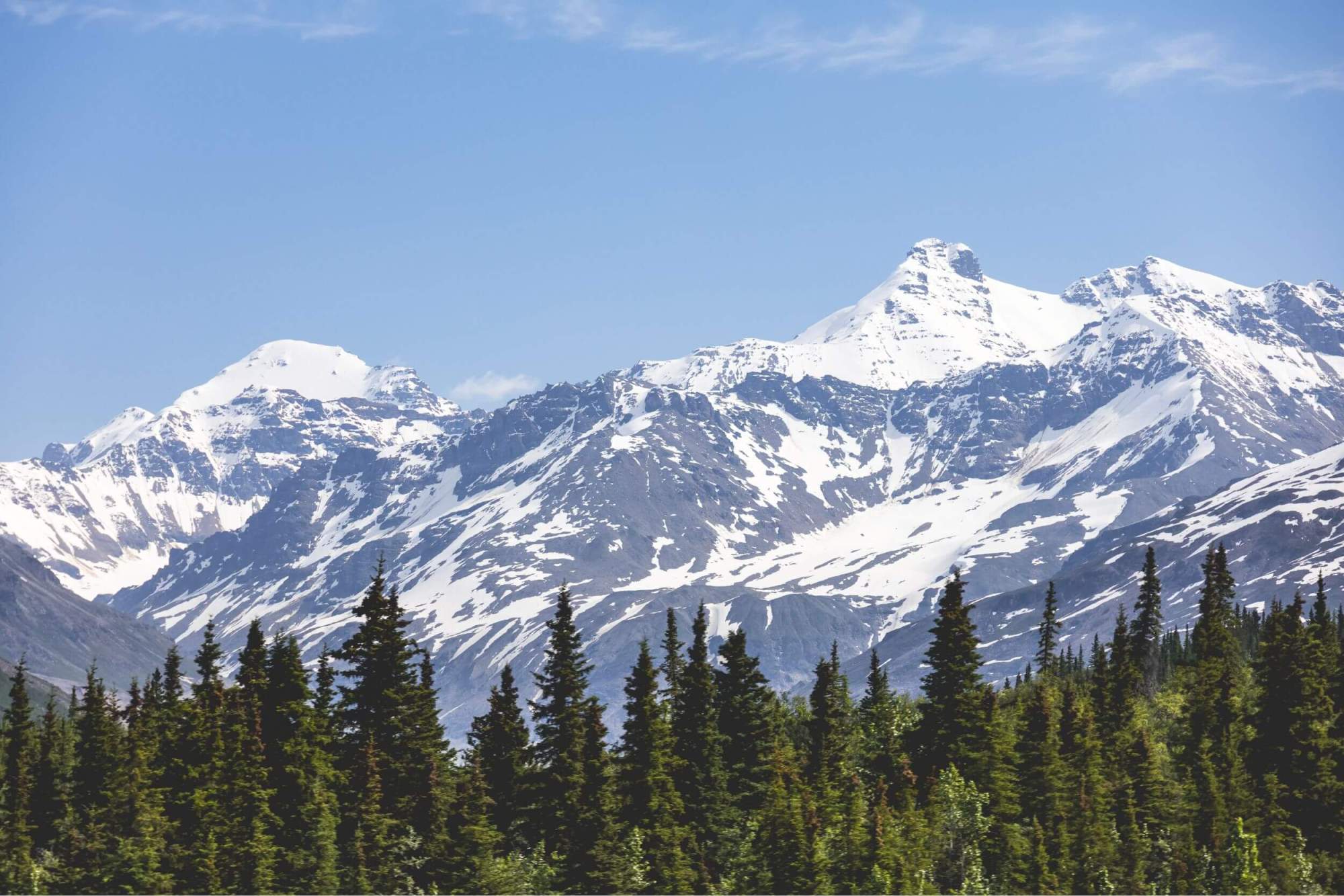Summer mountains near Fairbanks, Alaska with green boreal forest and blue sky